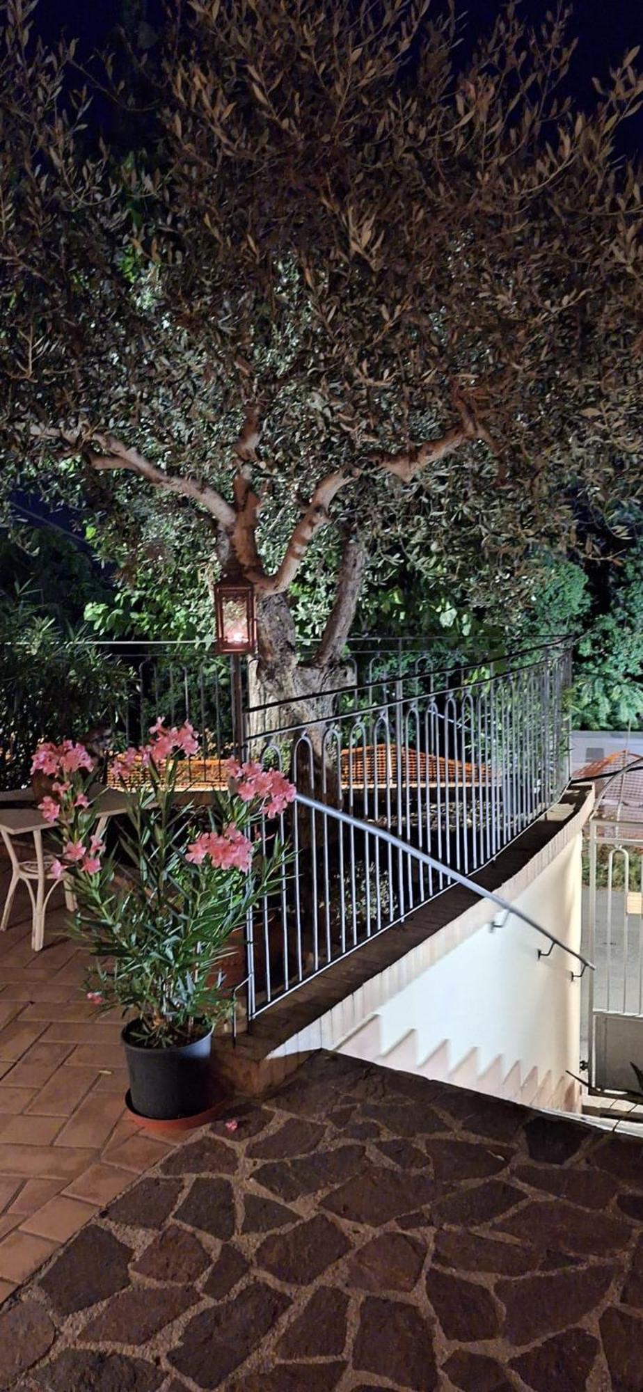 B&B Palazzo Mestichelli Boutique Palace Monteprandone Dış mekan fotoğraf